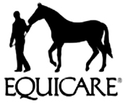 EQUICARE Flysect Super C Concentrate Fly Repellent for Horses