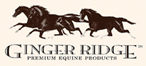 ANISE ORANGE Luxury Horse Treats from Ginger Ridge - GregRobert