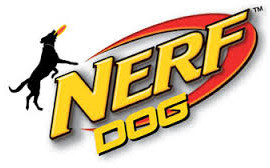4.5 in. Nerf Dog - Dog Toys for Active Pups - GregRobert