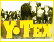 Y-Tex Equine - Horse Products - GregRobert