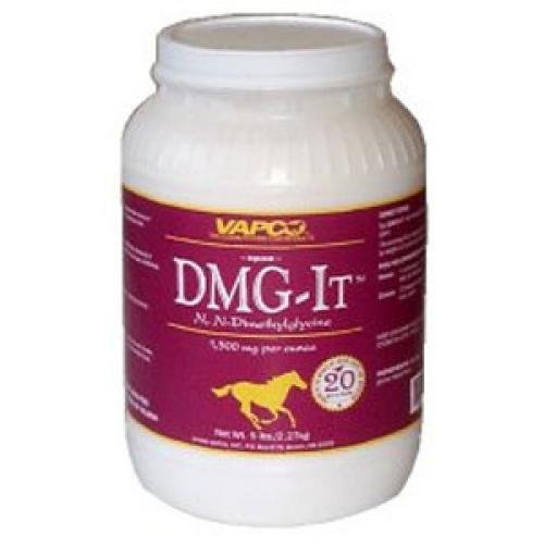 dmg equine supplement