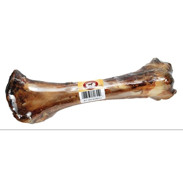 Natural Mammoth Bone Dog Treat Dog Products GregRobert