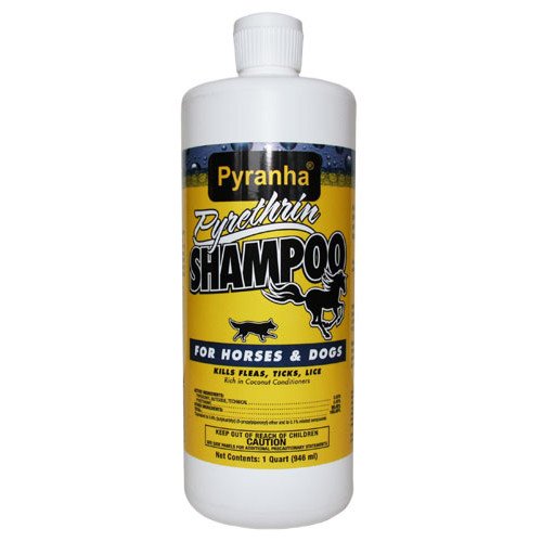 Pyrethrin Shampoo For Horses Or Dogs 32 Oz. - Gregrobert