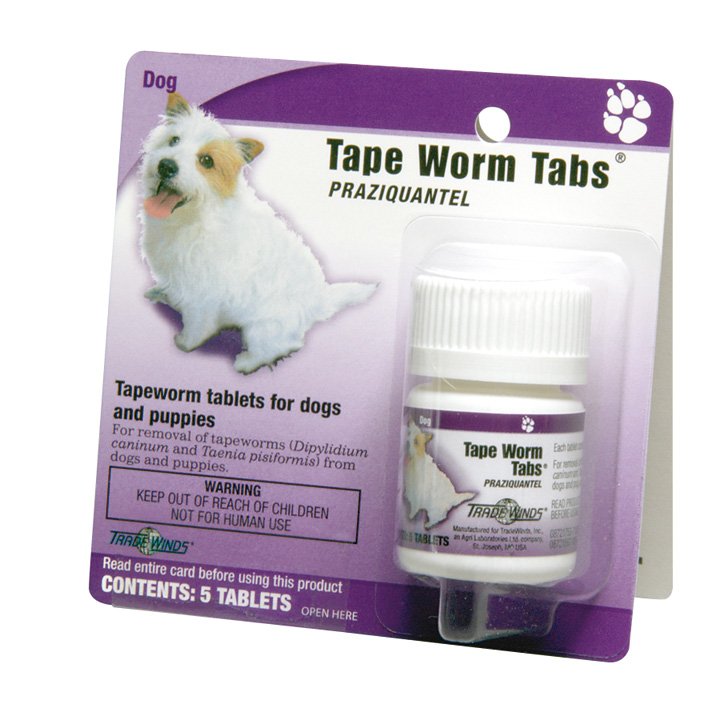 tapeworm medicine for dogs