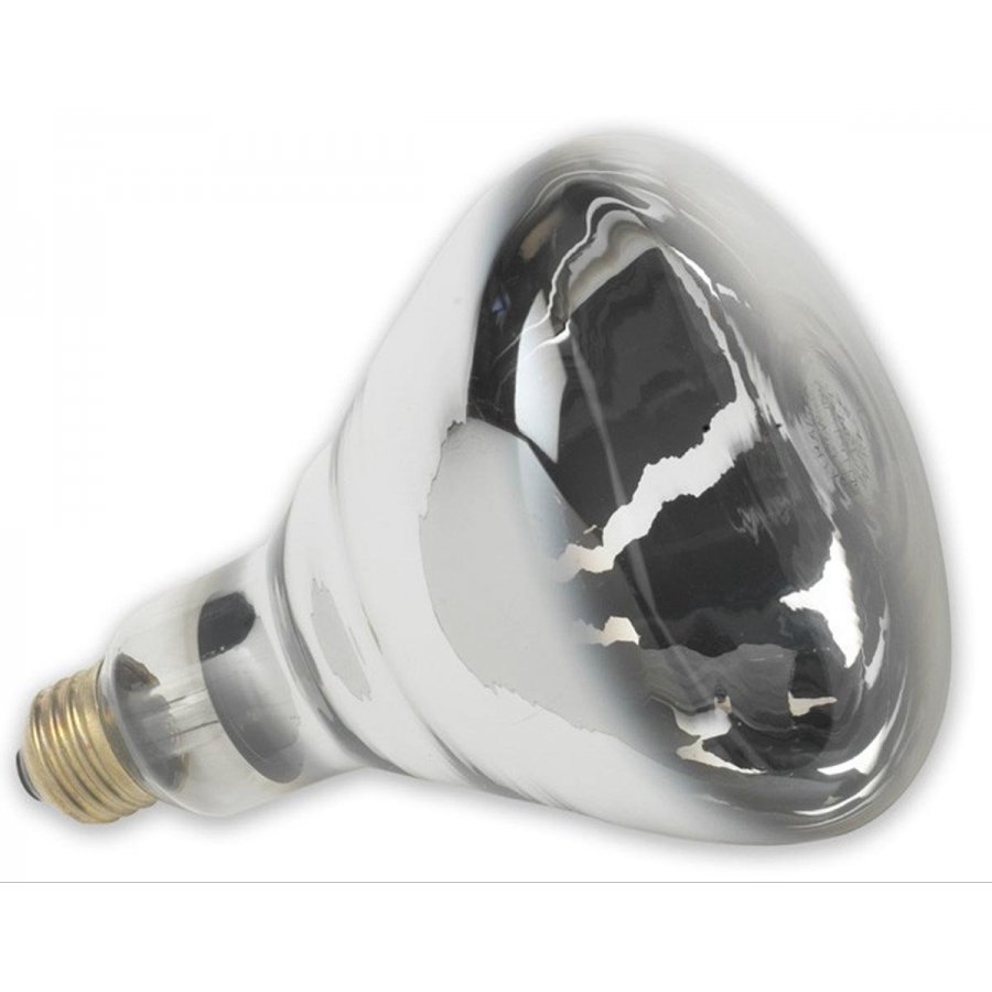 Heat Lamp Bulbs GregRobert