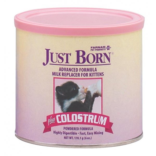 Just Born Milk Replacer for Kittens Cat Supplies GregRobert Pet Supplies