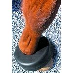 Aids in the prevention of capped elbows by keeping the horses hooves away from its elbow when lying down. Durable smooth rubber with nylon strap.  One size fits all. The durability of this boil boot will outlast competitors.