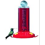 Perky-Pet Window Mount Hummingbird Bird Feeder - An exciting way to watch hummingbirds feeding. Features an easy to clean wide-mouth design. Easily attaches to window, wall or post...a clear acrylic feeder. Handy 8-ounce capacitybottle.