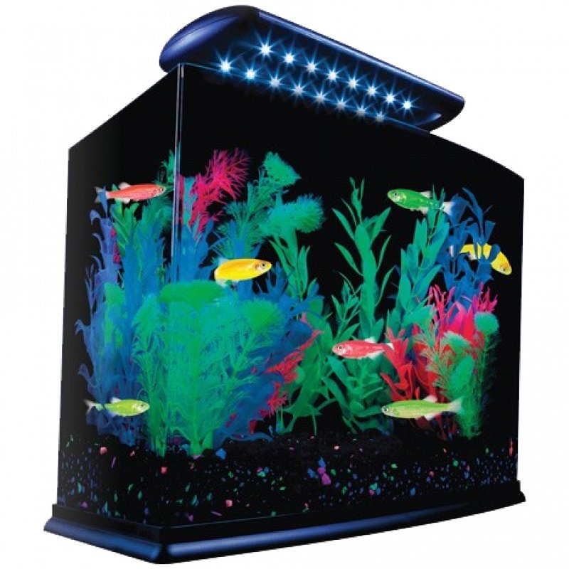 Tetra Glofish Aquarium Kit - 3 gallon Aquarium Supplies - GregRobert