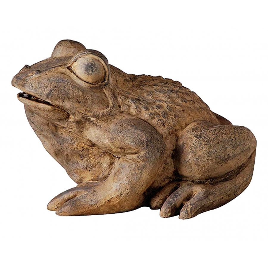 Frog Spitter Pond Supplies - GregRobert