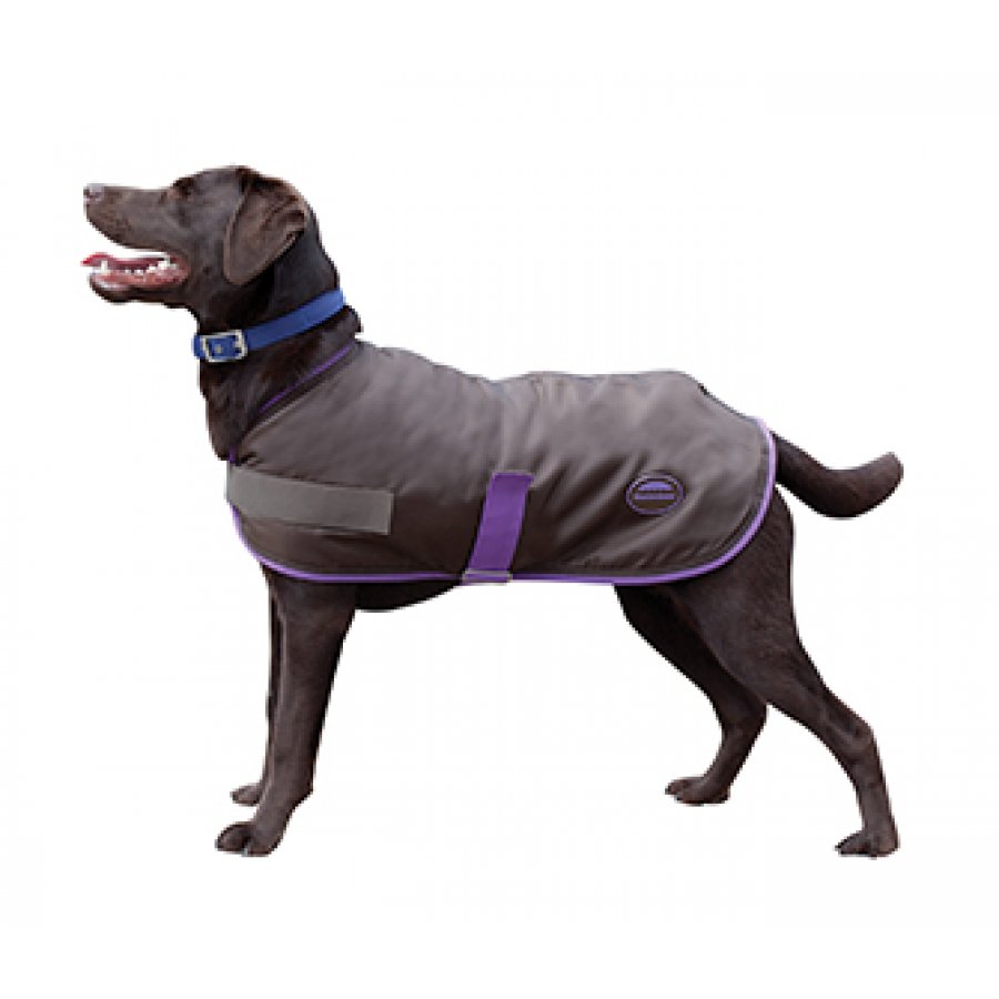 Windbreaker Bellywrap Fleece 420d Dog Coat / Size (16 In.) | Centinte